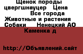 Щенок породы  цвергшнауцер › Цена ­ 30 000 - Все города Животные и растения » Собаки   . Ненецкий АО,Каменка д.